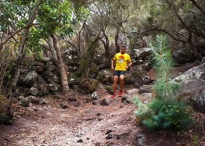 Апартаменты Coral Silos - Your Natural Choice Лос-Силос